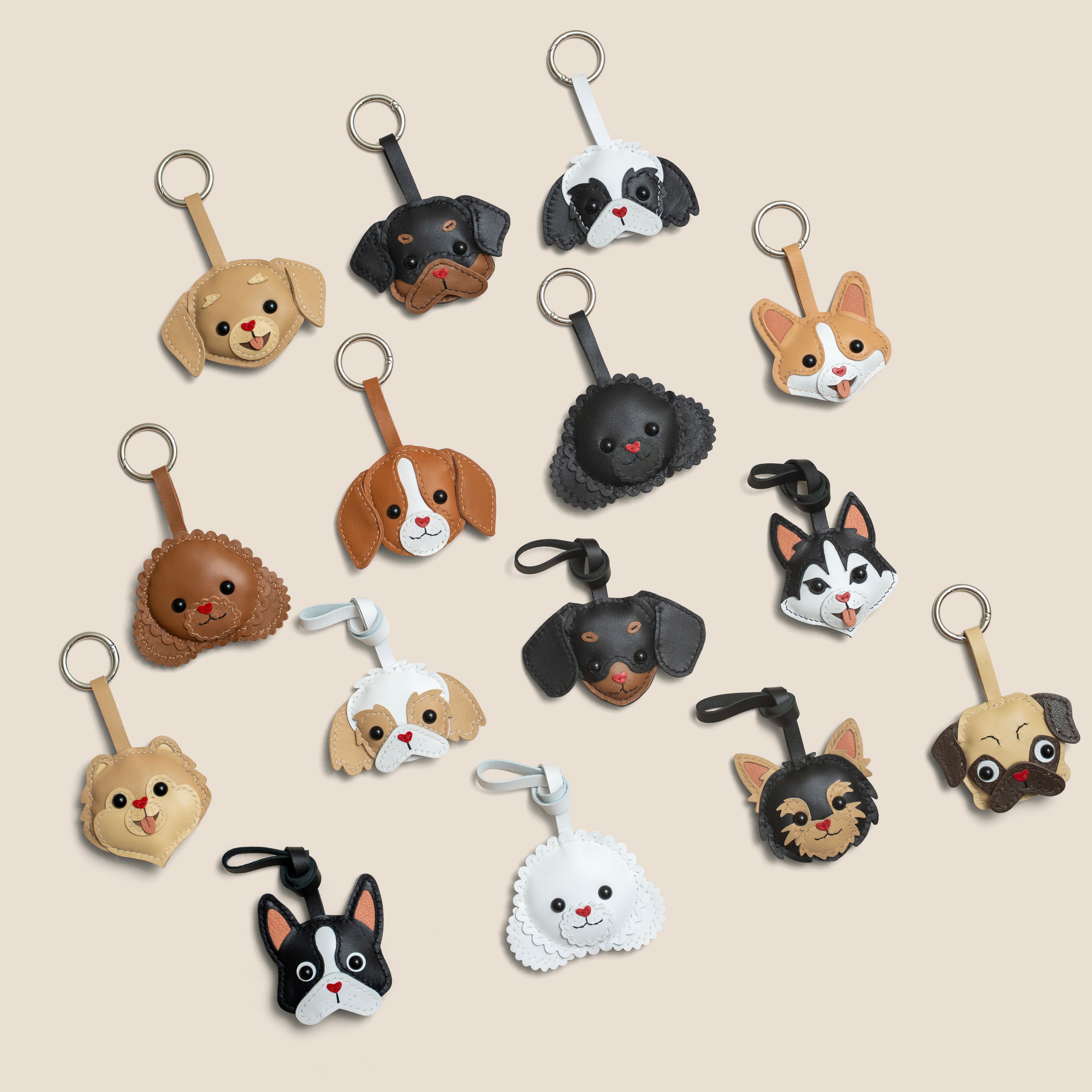 Dog Collection